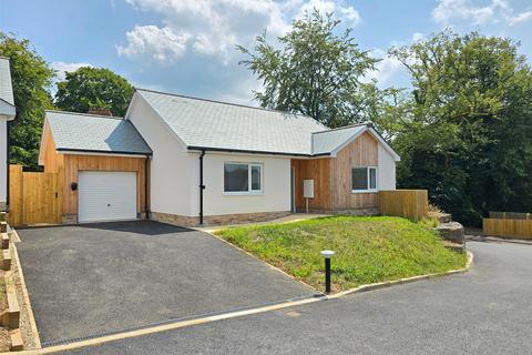 undefined, Dunheved Gardens, Launceston, Cornwall, PL15