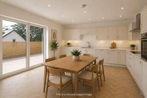 undefined, Dunheved Gardens, Launceston, Cornwall, PL15