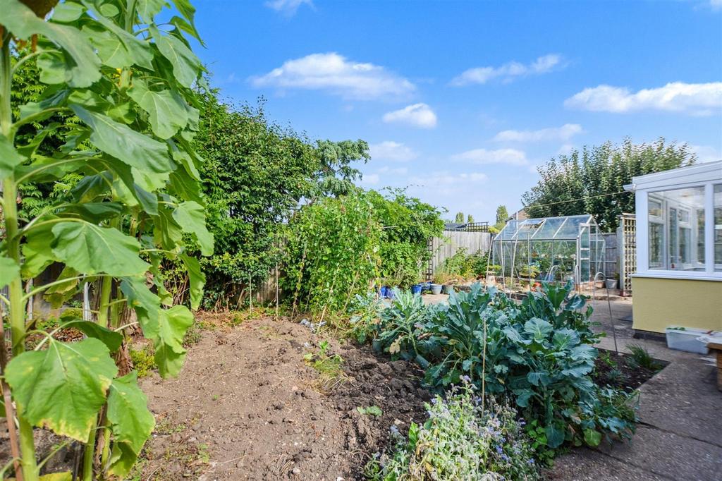 Garden 4.jpeg