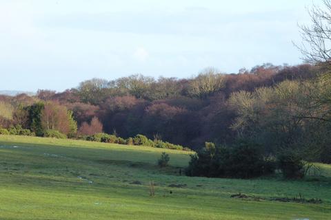 undefined, Healey Wood, Stocksfield NE42