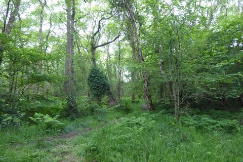 undefined, Healey Wood, Stocksfield NE42