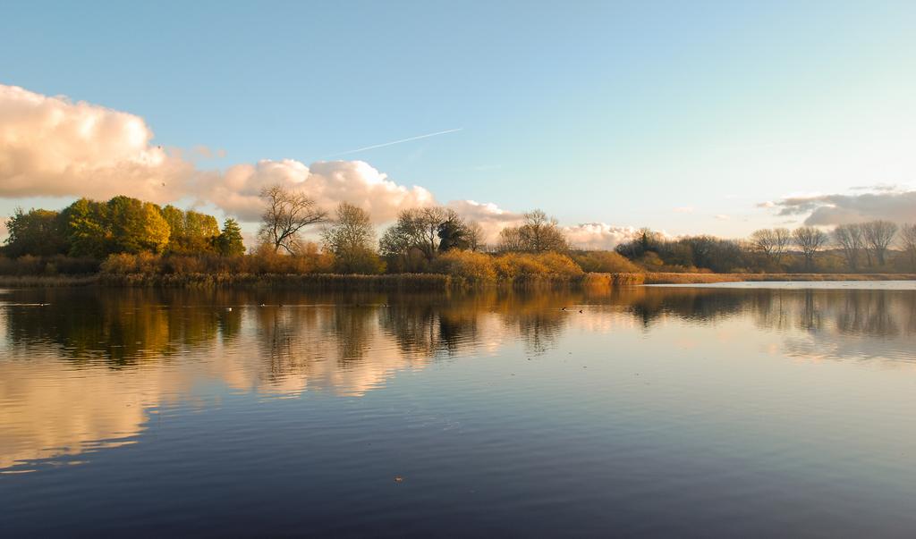 Tring Reservoir