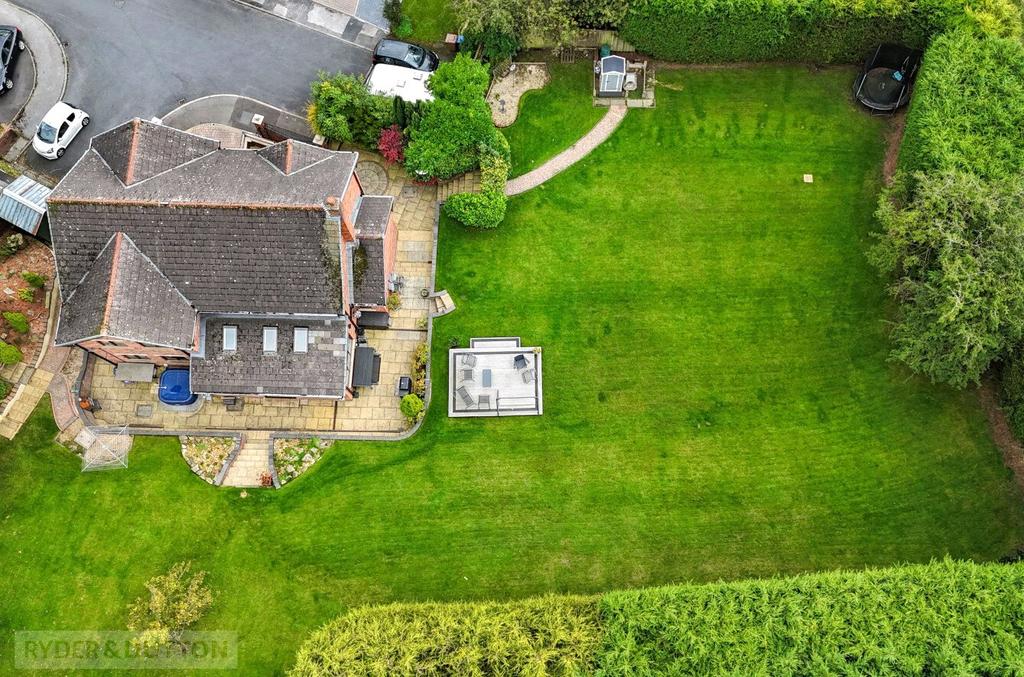 Aerial Shot