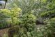 Additional image 3 of Hardwick Green, Ealing
