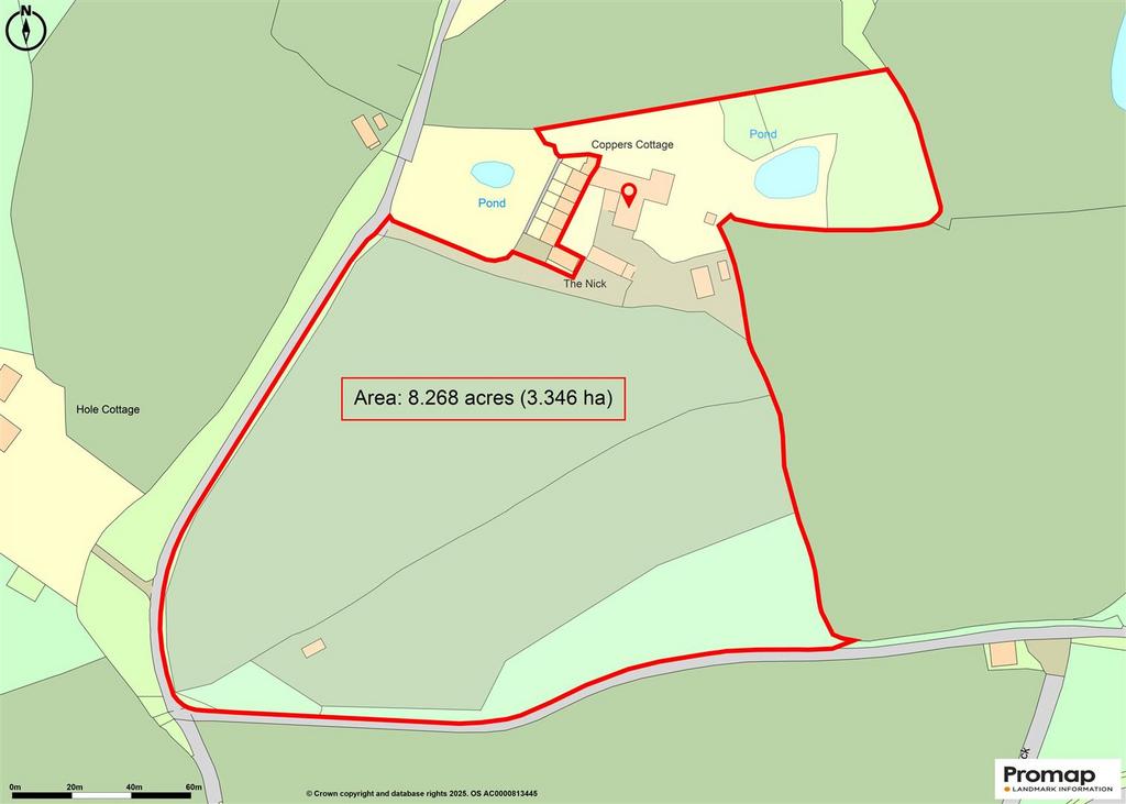 Promap-3282030-3378762-750-0.jpg