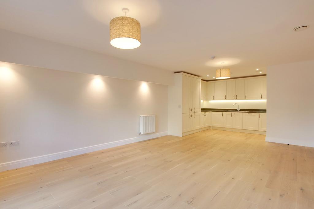 Living room/kitchen