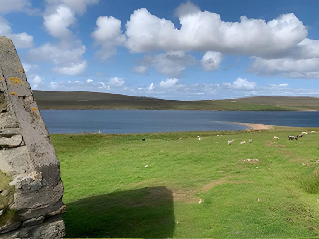 MFL0245741 844.jpg