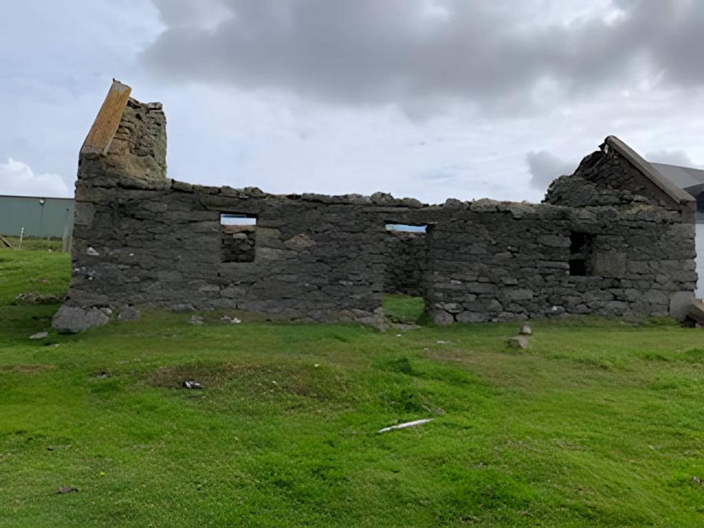 MFL0245741 664.jpg