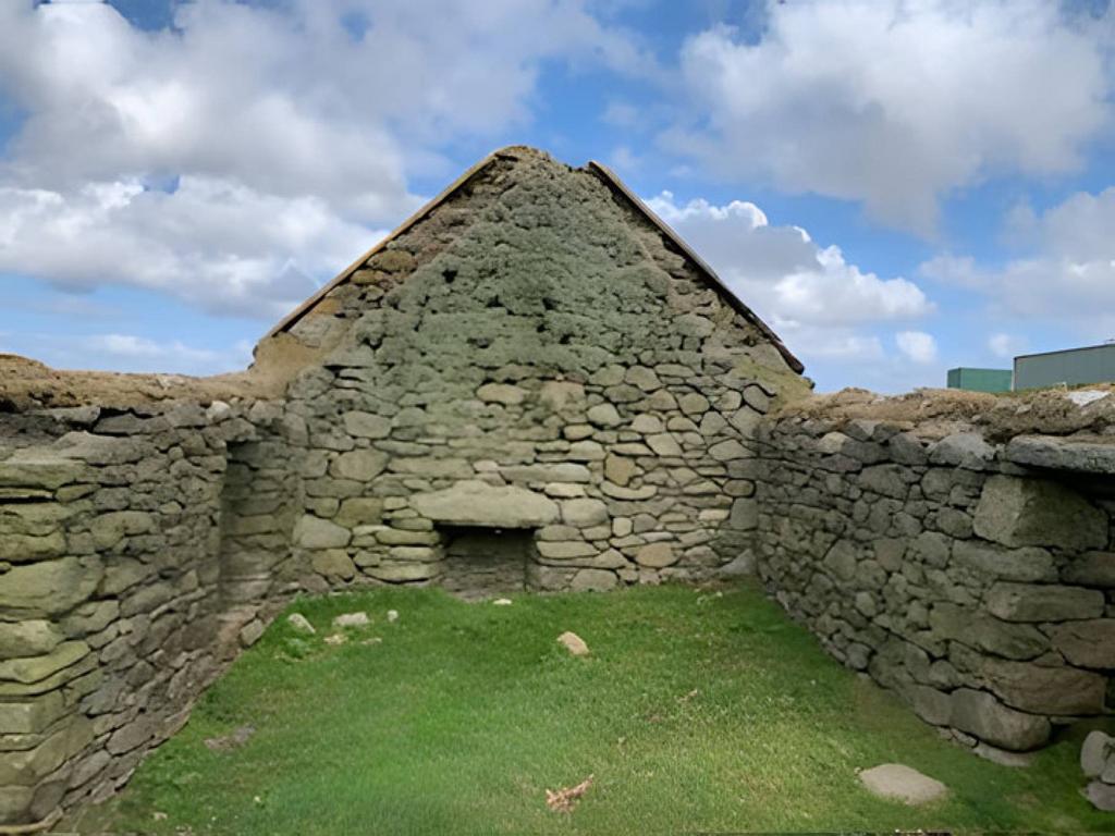 MFL0245741 905.jpg