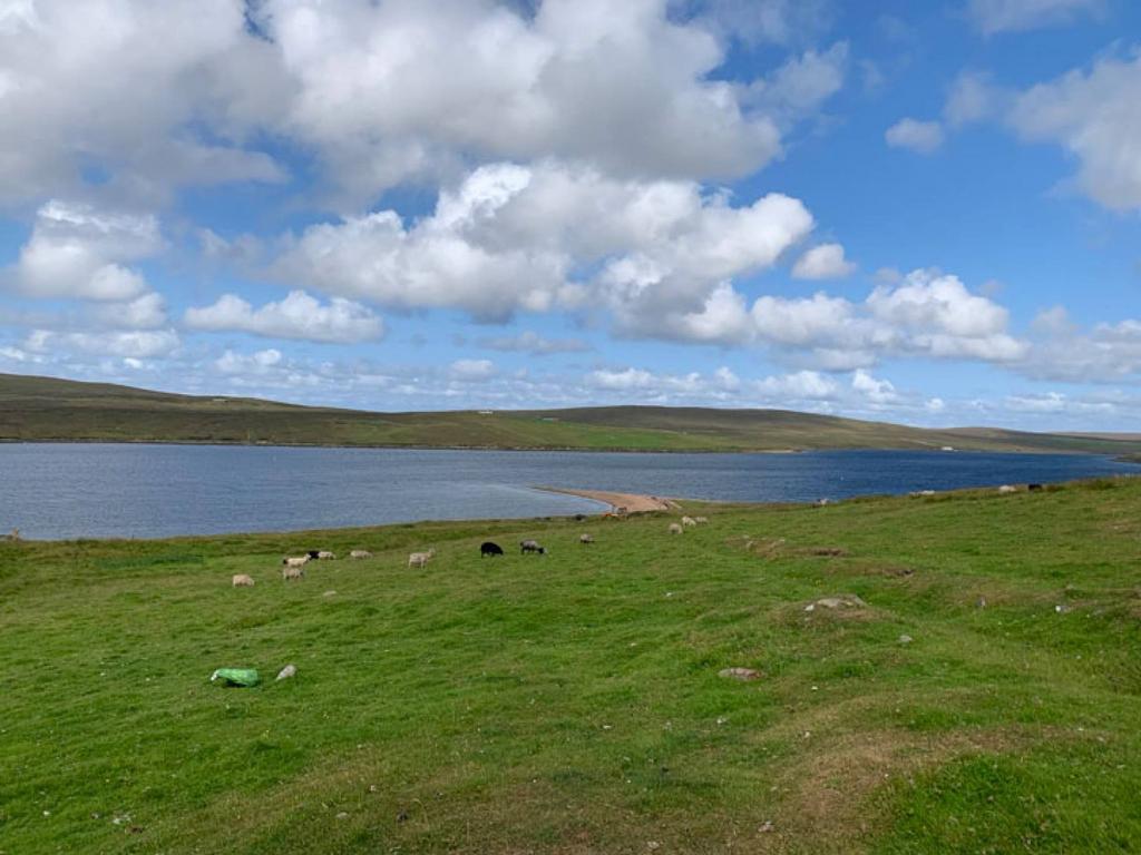 MFL0245741 430.jpg
