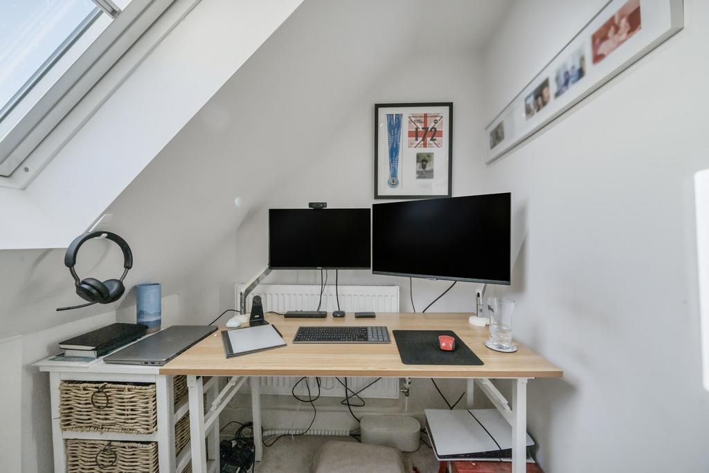 Study Area