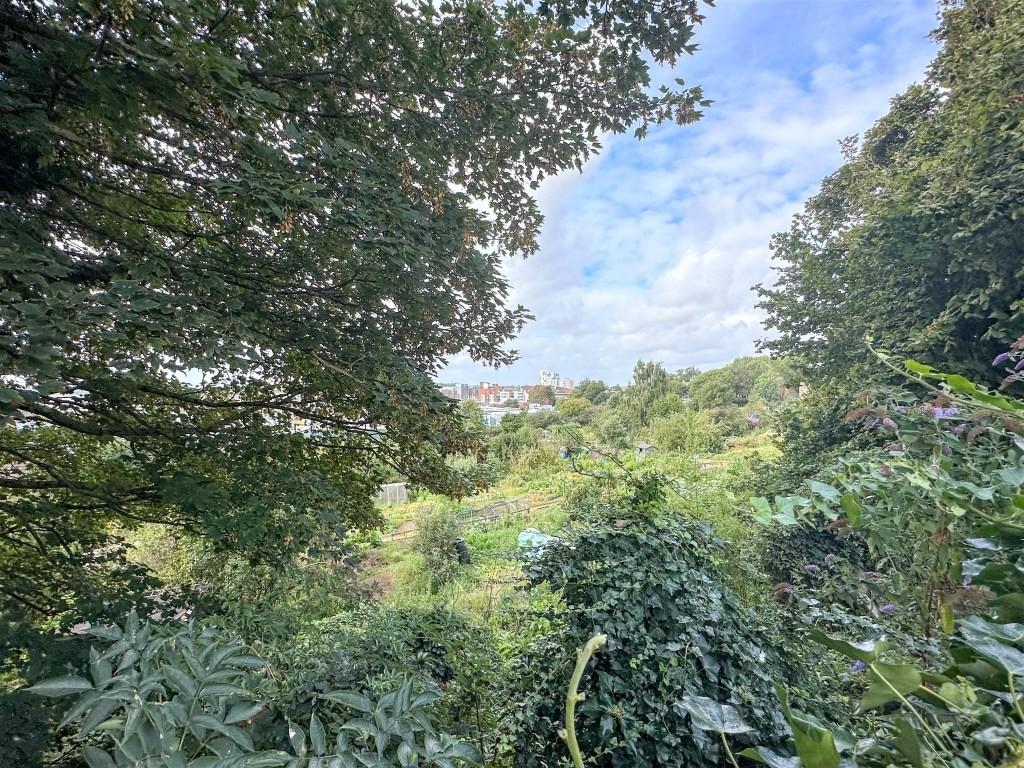 Outlook from garden