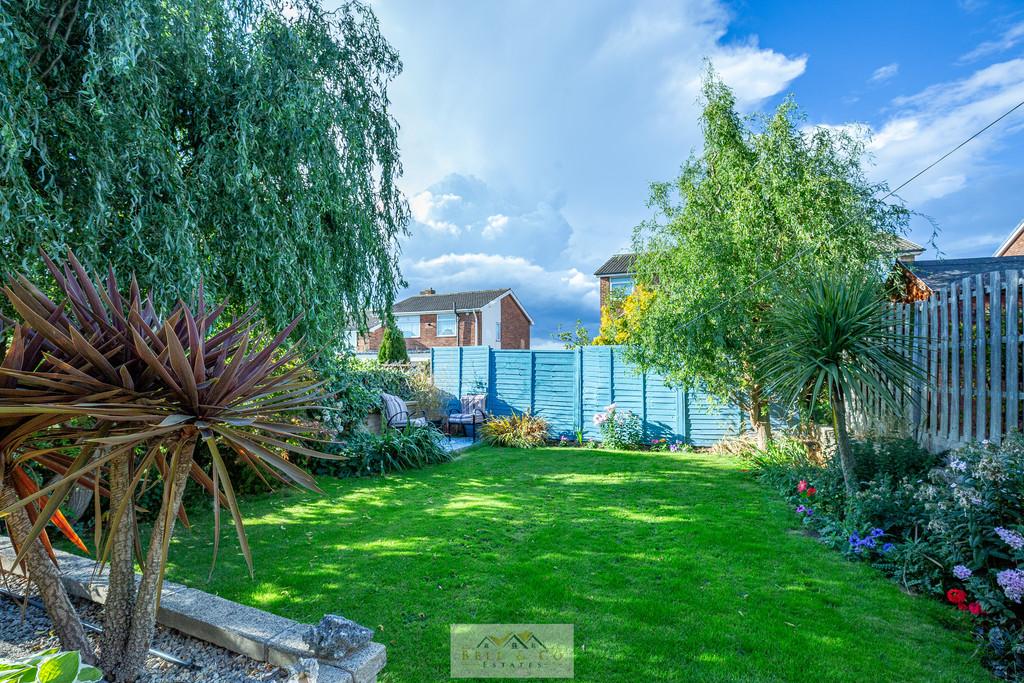 Back garden 1.1