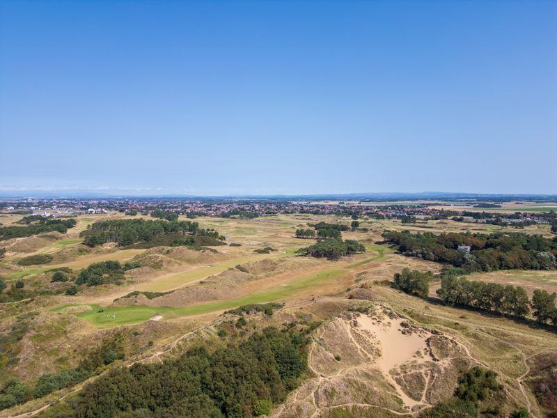 Drone golf