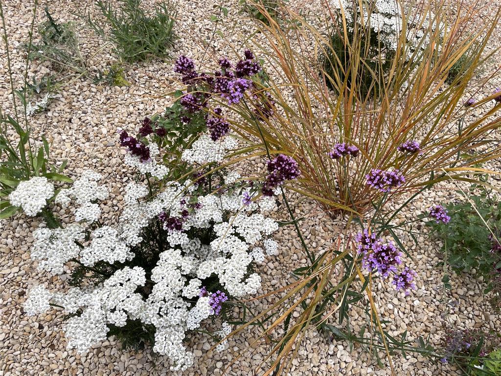Planting