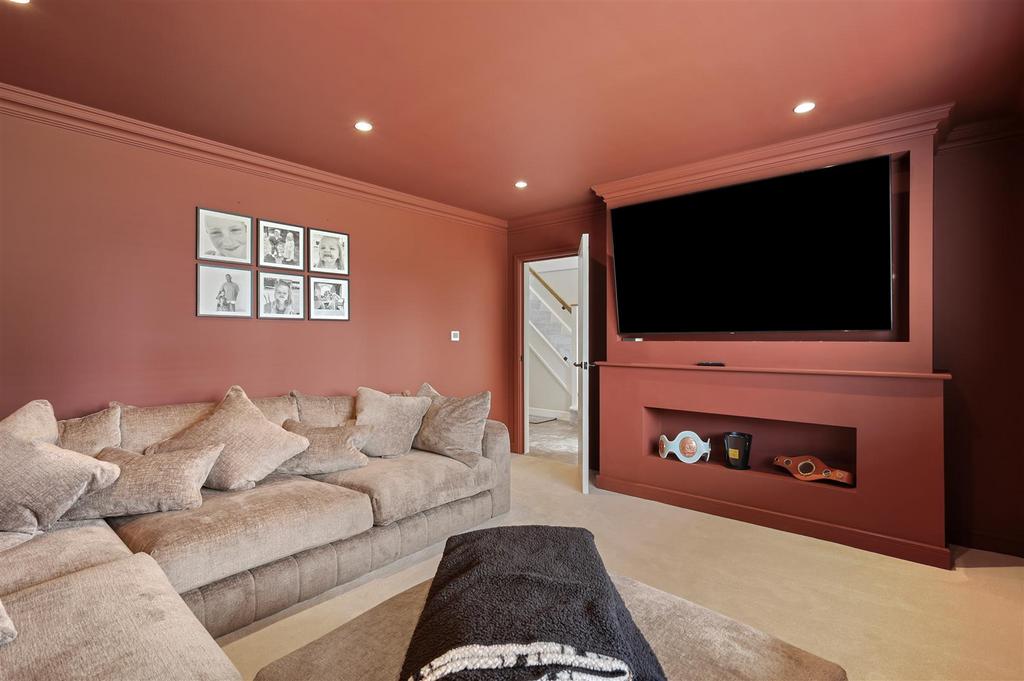 Cinema/Living area