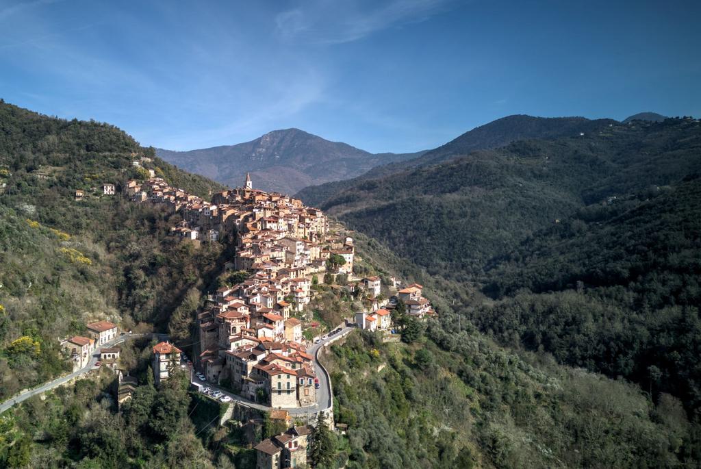 Image3