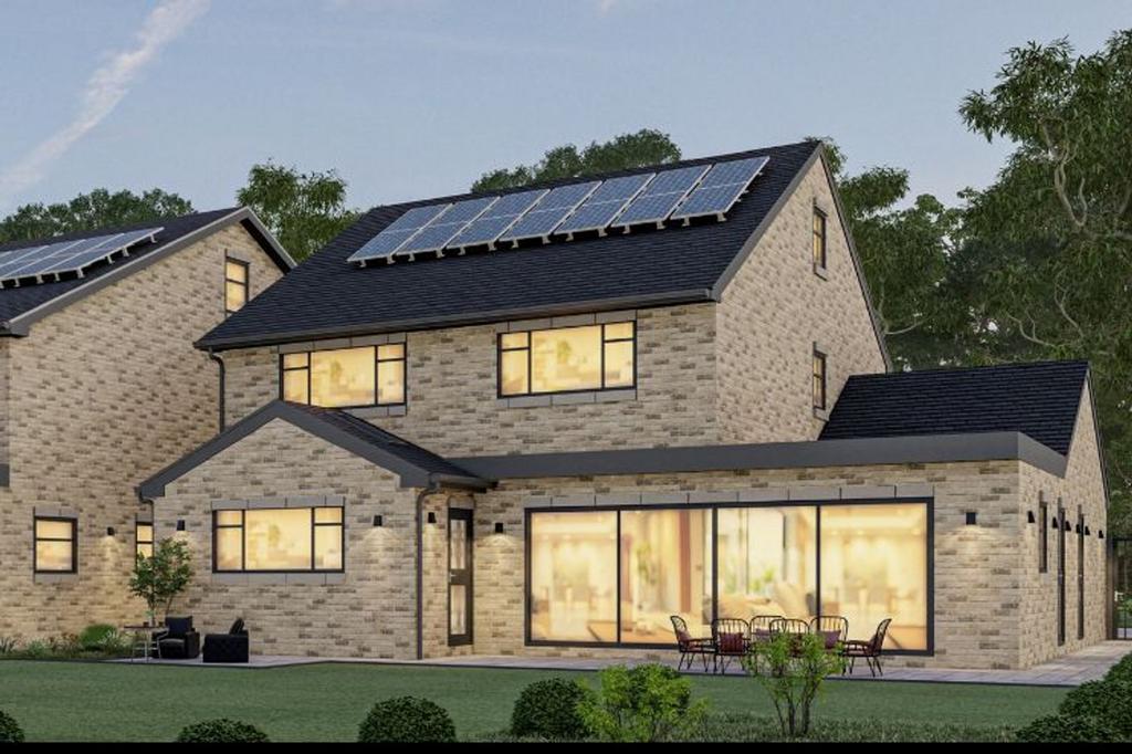 Plot 1 Back