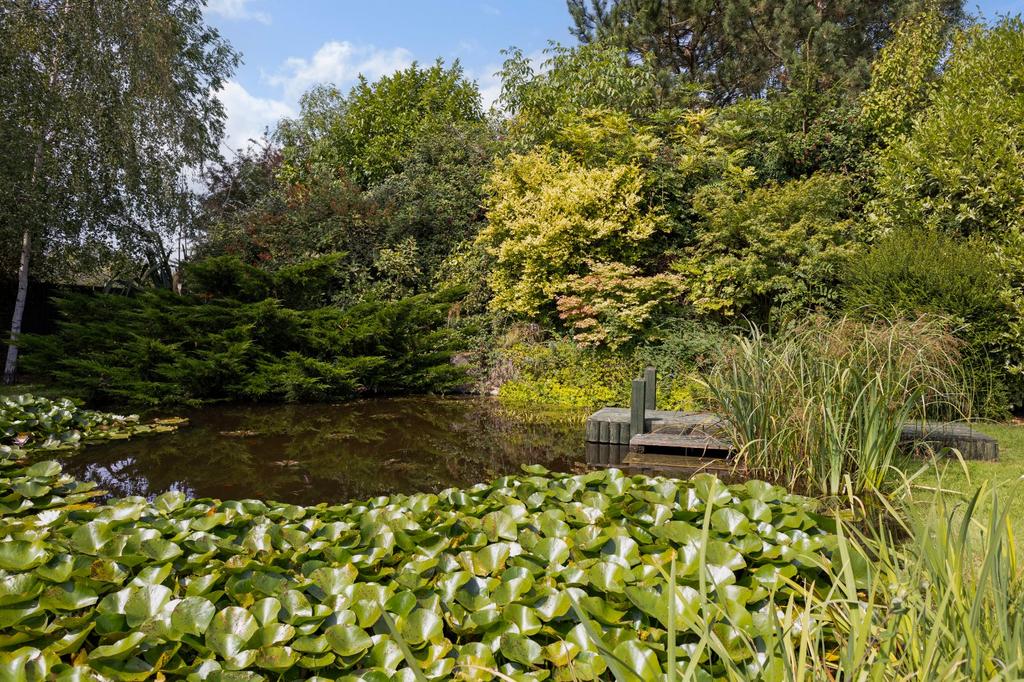 Garden Pond