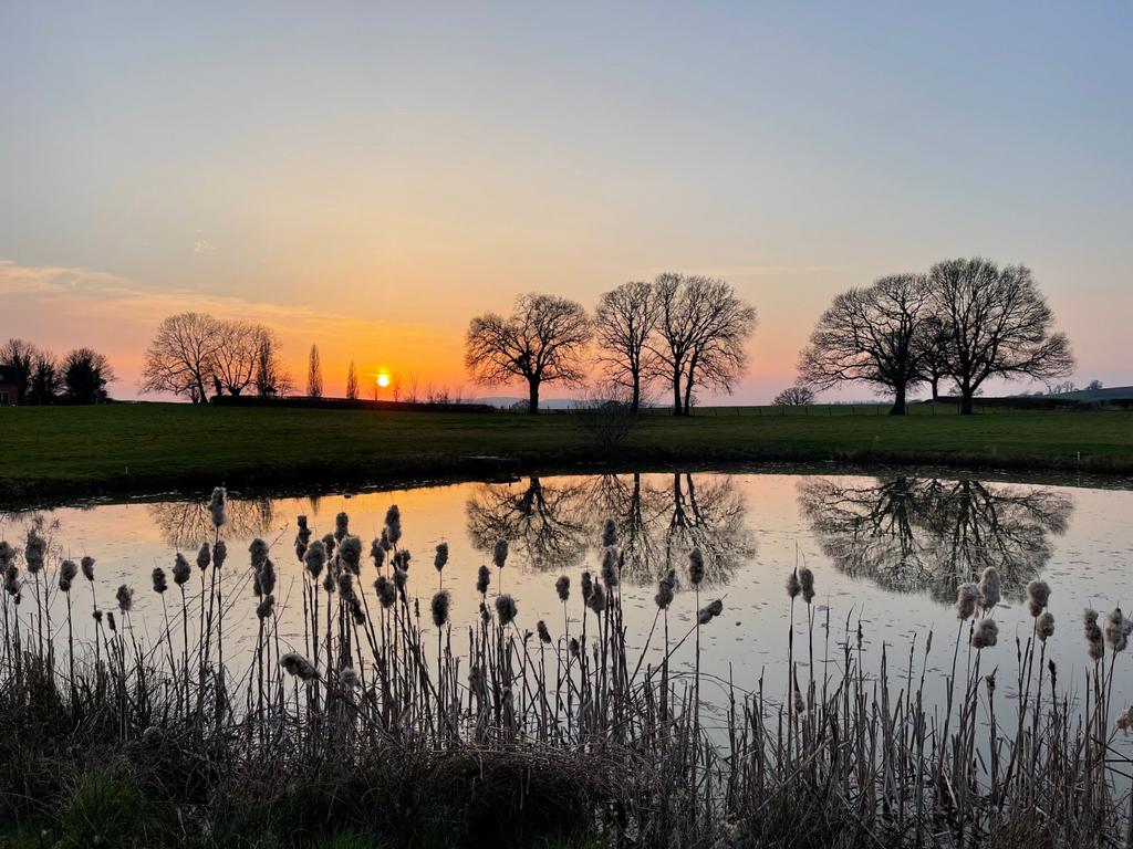 Lake Sunset