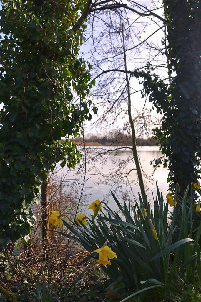 Spring views.jpg