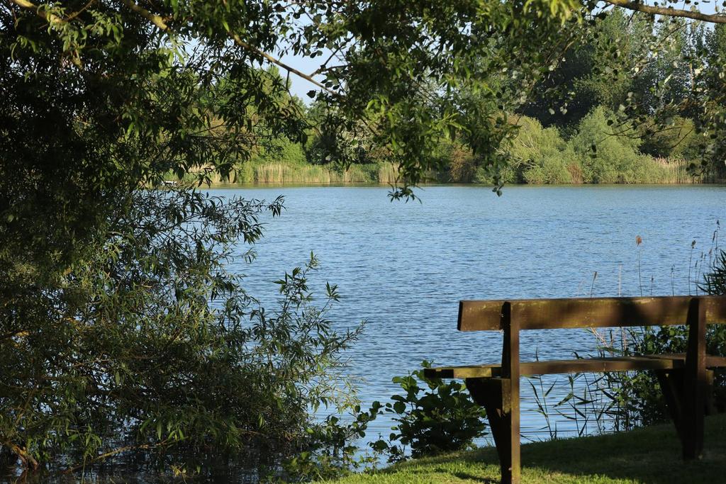 Lakeviews.jpg