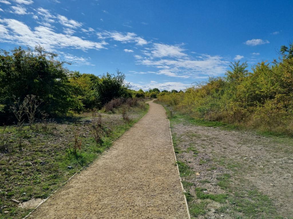The Nature Reserve