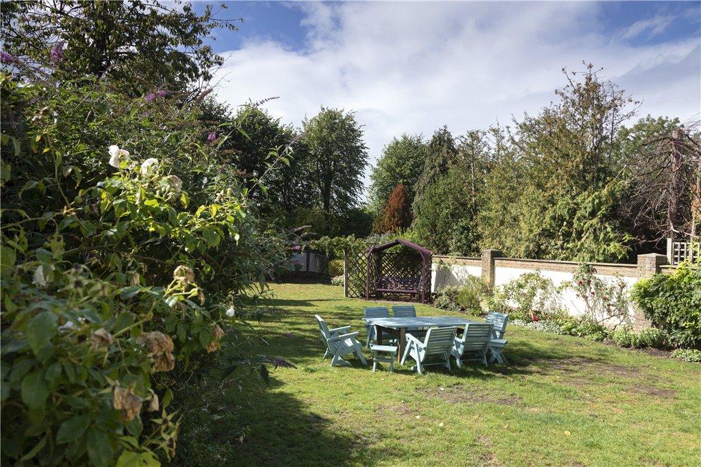 Picture 16