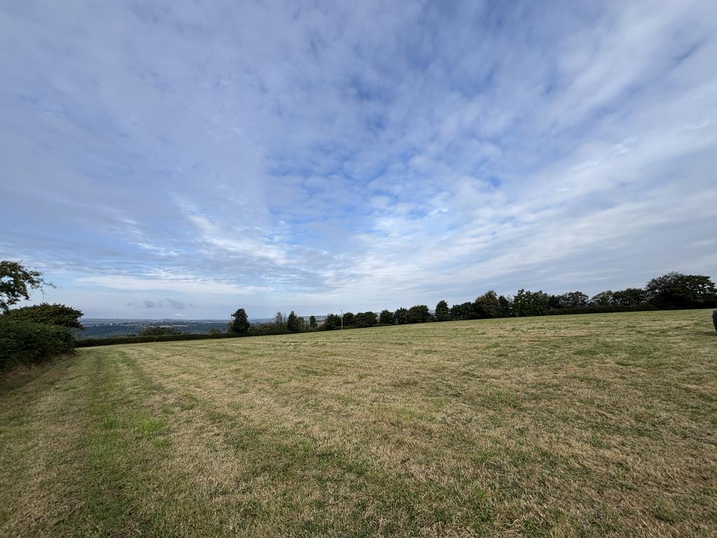 The land