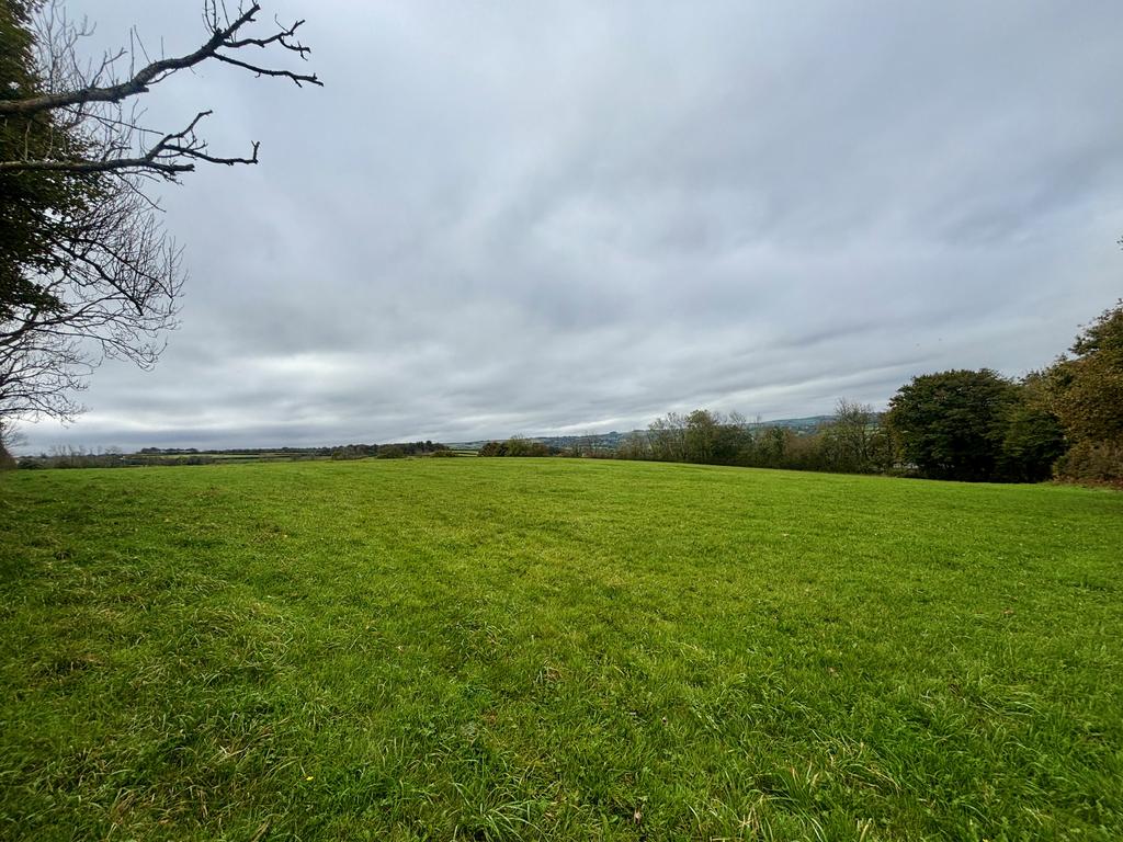The land