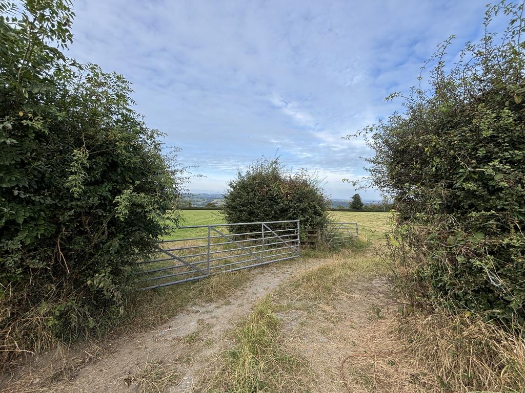 Access and driveway