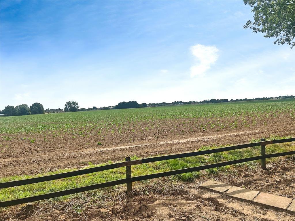 Field View