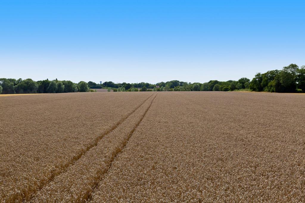 Lot 4