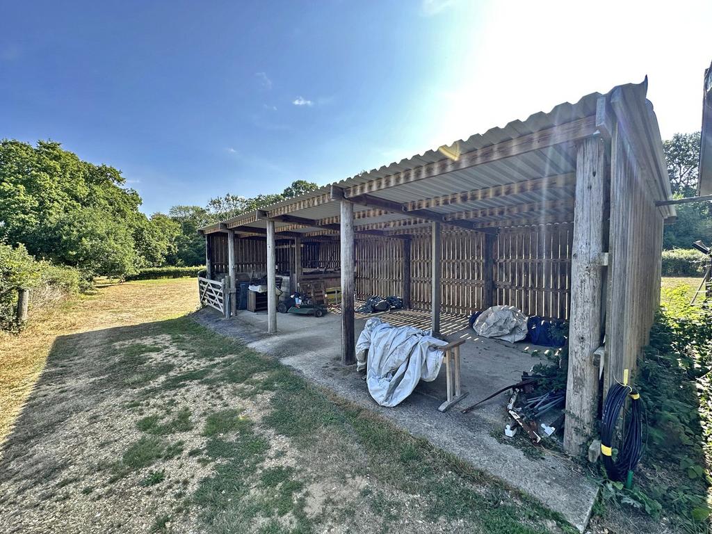 Picture 26