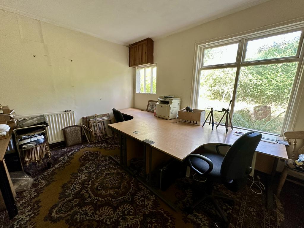 IMG 3435 T202509021622.jpeg