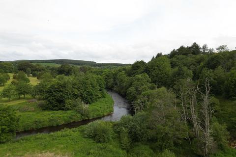 undefined, Knappach Wood, Huntly, Aberdeenshire AB54