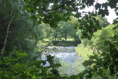 undefined, Knappach Wood, Huntly, Aberdeenshire AB54