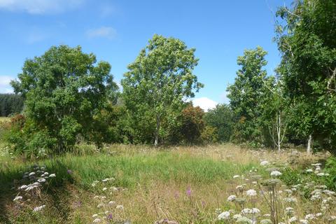 undefined, Knappach Wood, Huntly, Aberdeenshire AB54