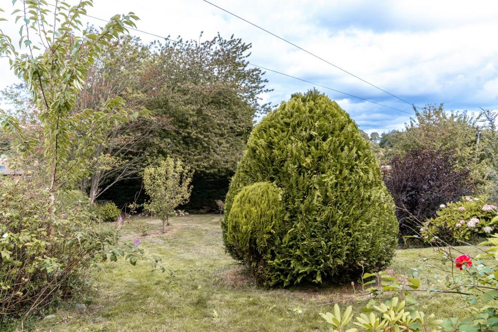Picture 15
