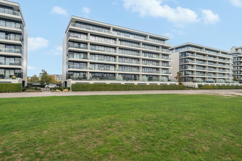 External