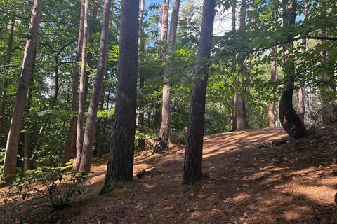 Burnt Hill Road, Lower Bourne, GU10