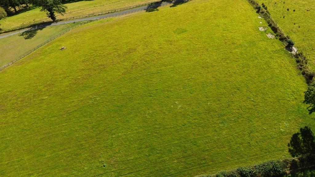 Land (third image)