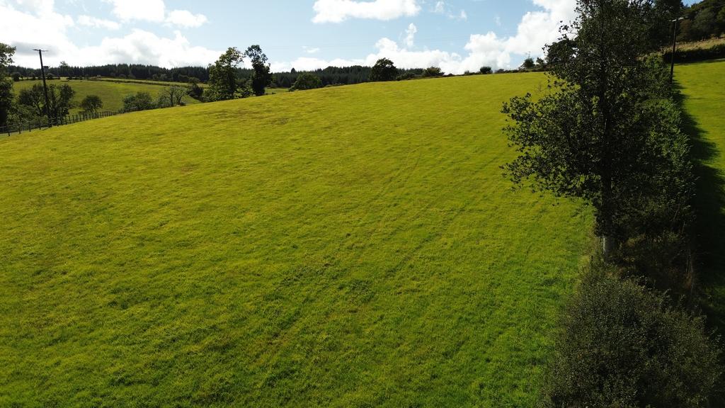 Land (fourth image)
