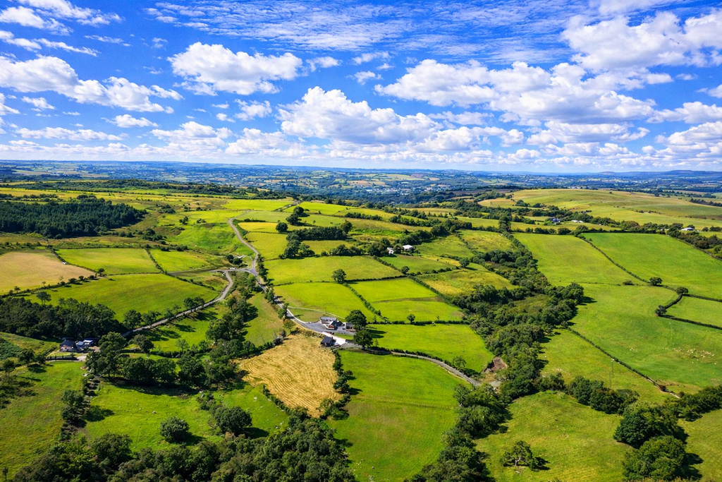 The land