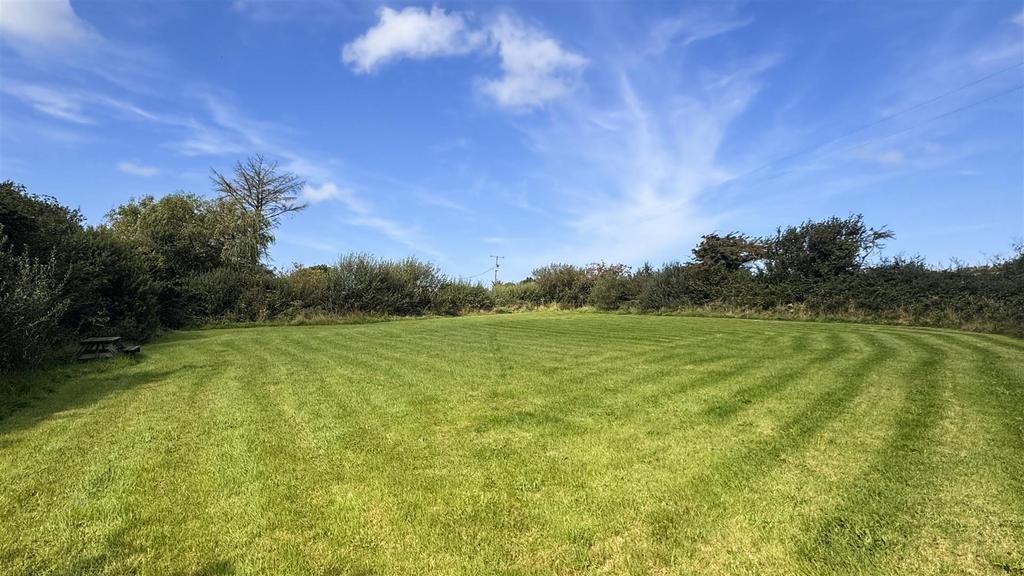 Paddock 3.jpg