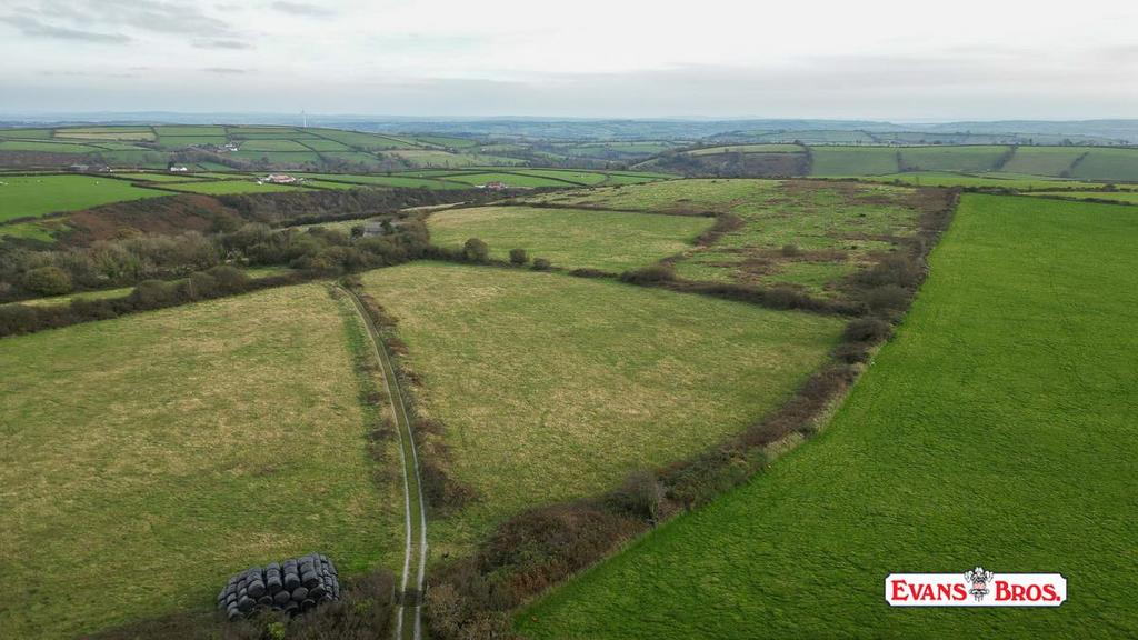 DJI 0170.jpg