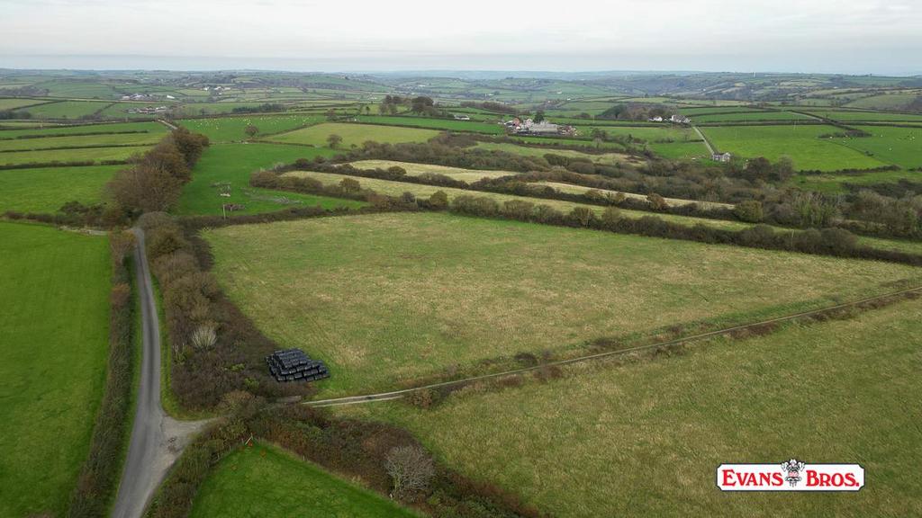 DJI 0169.jpg
