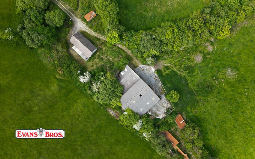 DJI 0900.jpg