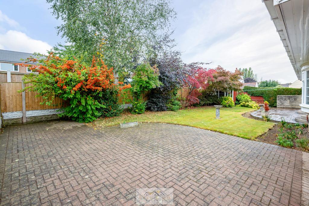 Back garden 1.1