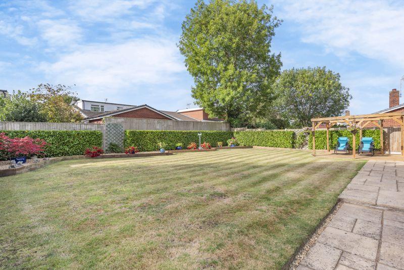 Back Garden